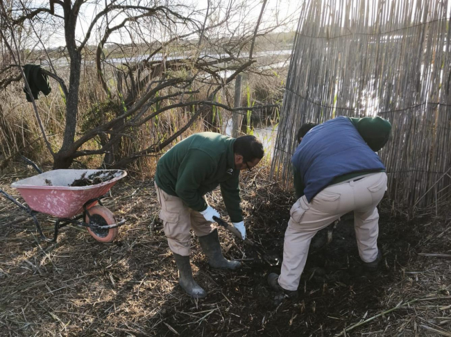 El Govern combina conservación ambiental e inclusión laboral con un nuevo proyecto de mejora de los espacios naturales 