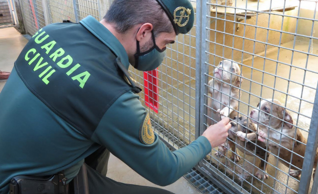 La Guardia Civil ha investigado a dos hombres como presuntos autores de un delito contra los animales