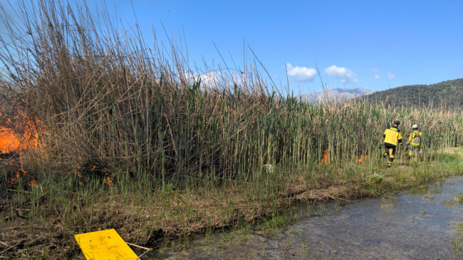 El Govern continúa la ejecución de quemas controladas para prevenir incendios forestales
