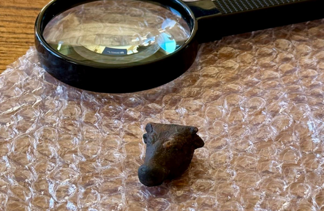 El Consell de Mallorca incorpora a su patrimonio un excepcional «cap de bou» en miniatura descubierto gracias a la colaboración ciudadana