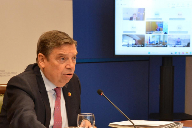 Agricultura, Pesca y Alimentación pone a disposición de las comunidades autónomas líneas de trabajo para mejorar la gestión de la sanidad vegetal