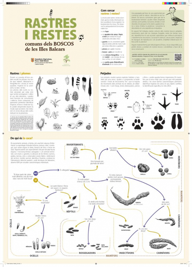 Presentan una nueva guía para identificar los rastros de la fauna en los bosques de las Illes Balears y acercar la cultura forestal a la ciudadanía