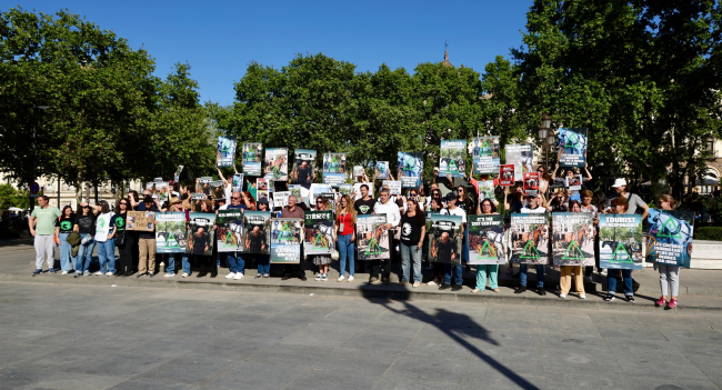 PACMA alza la voz en Sevilla contra la explotación de caballos para el turismo: “Tira tú del puto carro”