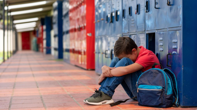 El servicio de atención psicológica por acoso escolar de la Dirección General de Familias atiende a 52 niños y niñas durante 2025 