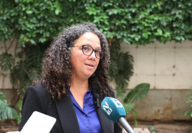 El Grupo Socialista apunta a Galmés como el gran responsable de la presunta utilización privada de vehículos oficiales del Consell por parte del vicepresidente Pedro Bestard