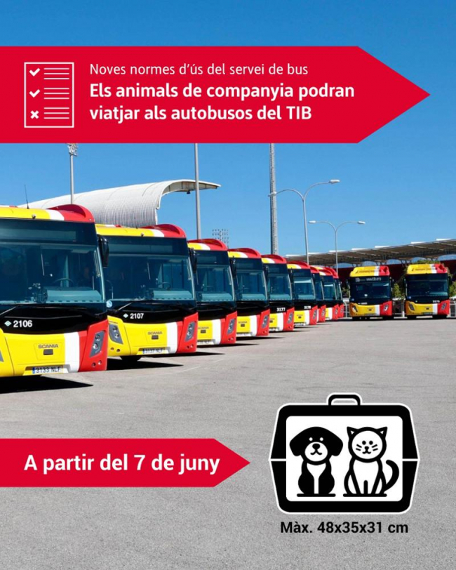 Los animales de compañía podrán viajar en los autobuses del TIB de Mallorca a partir del domingo 7 de junio
