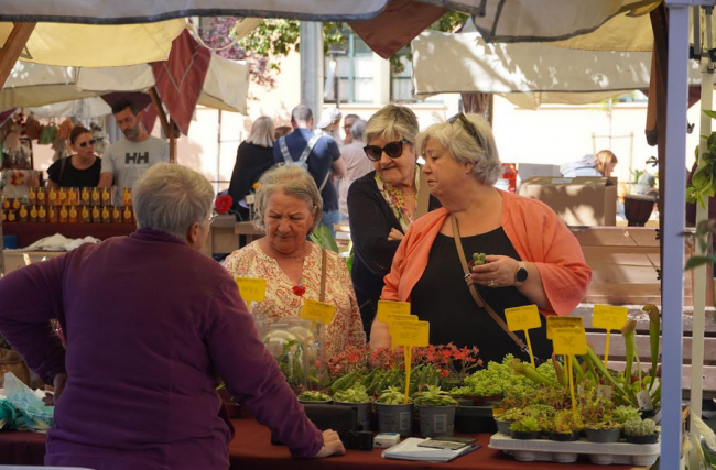 Éxito de participación en el Mercat de Primavera de Sa Cabana