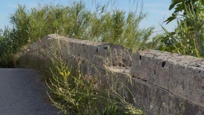 El PP de Sa Pobla reclama la rehabilitación urgente del Puente de ses Jonqueres Veres