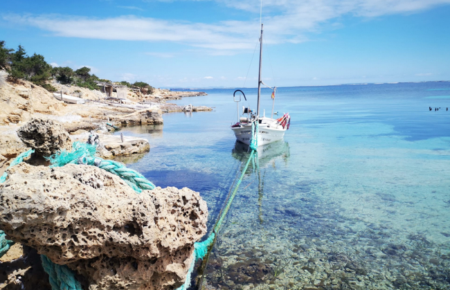 El Govern impulsa un plan de acción para la conservación de las zonas marinas someras de las Illes Balears 
