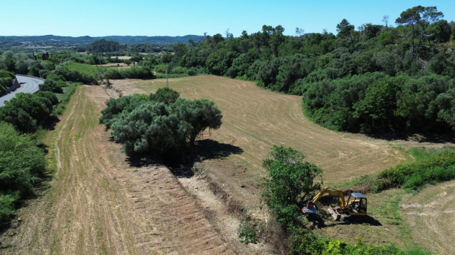 El Govern destina 300.000 euros a ayudas para impulsar la limpieza de torrentes en explotaciones agrarias y ganaderas