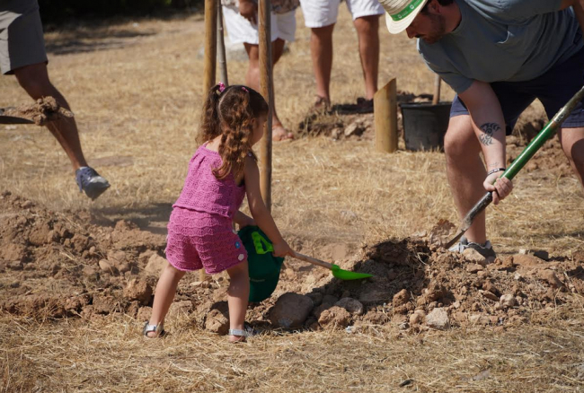 Marratxí celebra el Día Mundial del Medio Ambiente con una plantación ciudadana y una acción de limpieza colectiva