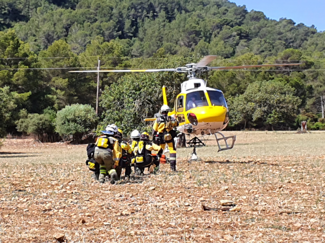 El Govern organizará un simulacro de incendio forestal este martes en Andratx