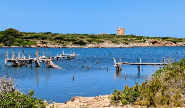 El Govern desbloquea la situación del puerto de Sanitja y garantiza el mantenimiento de los amarres durante los próximos tres años