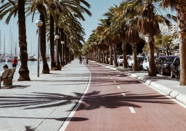 Mallorca, tierra de deporte
