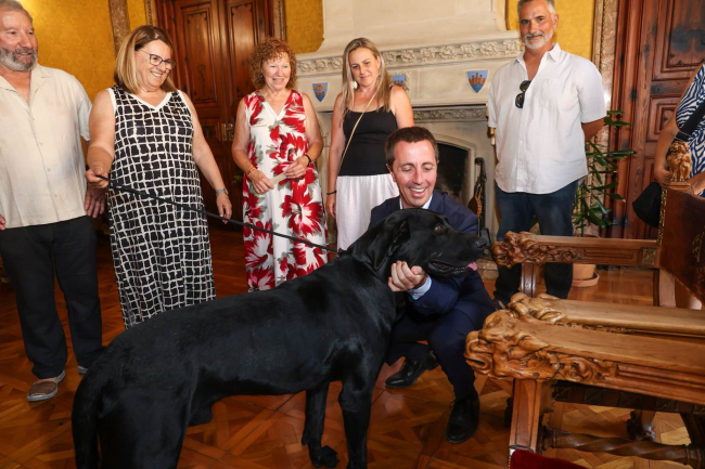 Llorenç Galmés rep i felicita als propietaris del ca de bestiar Campió Mundial de Morfologia Canina