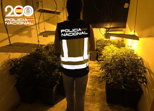 La Policía Nacional detiene a un hombre y  por cultivar marihuana en un domicilio