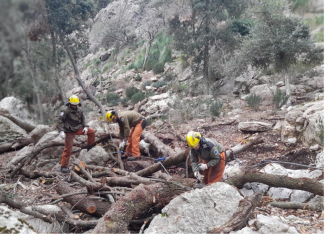 Un millón de euros al IBANAT para seguir reforzando la prevención de incendios forestales