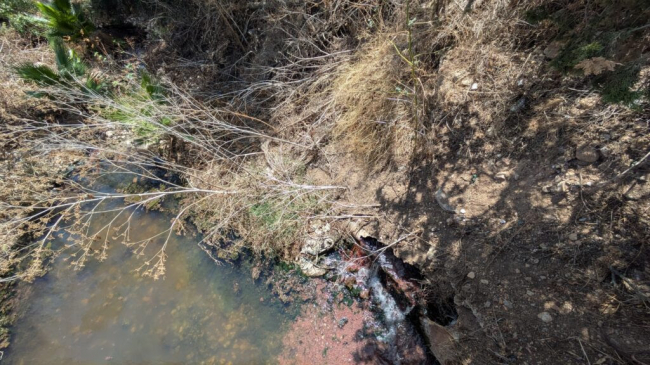 GOB denuncia ante la Fiscalía la contaminación del agua del torrente de Son Saletes (Sencelles)