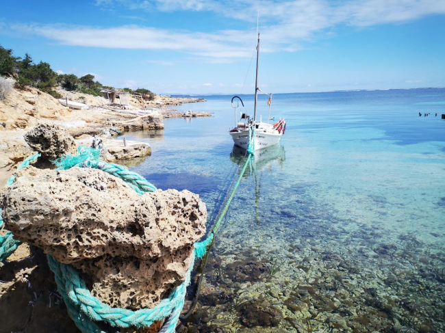 El Govern inicia el trámite de información pública del Plan de Acción para la Conservación de las Zonas Marinas Someras de las Illes Balears 