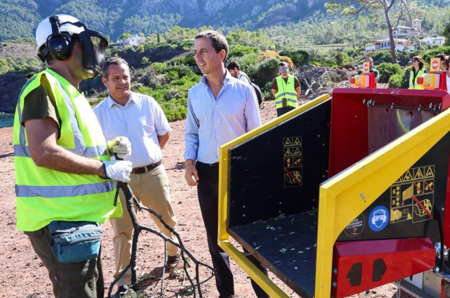El Consell de Mallorca inicia la retirada de la masa forestal afectada por el temporal en el Port des Canonge