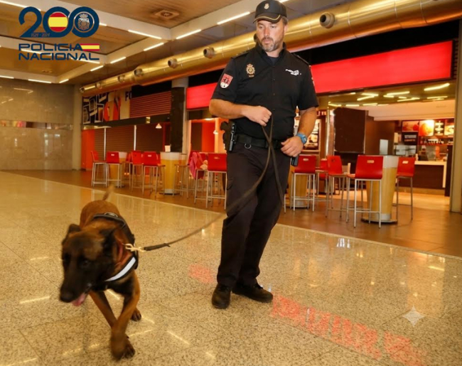 Detenidas tres personas por sustraer numerosos efectos en las tiendas del aeropuerto de Maó
