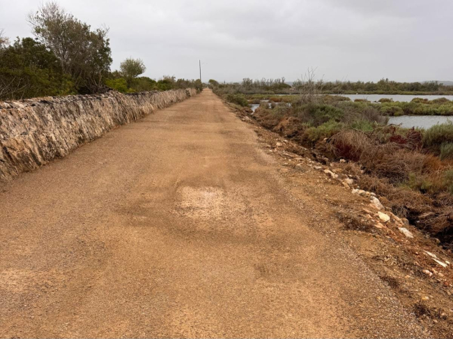 El Parc Natural de s'Albufera de Mallorca cerrará temporalmente del 5 al 18 de octubre por obras de mejora en los caminos y observatorios
