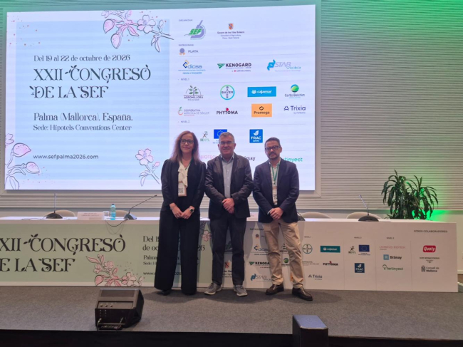 Diez años después de la detección de la Xylella, Mallorca reúne a cerca de trescientos especialistas para abordar el futuro de la sanidad vegetal