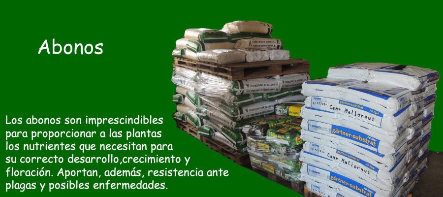 entra